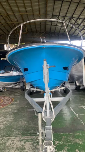 Dolphin Scuba Dive Boat For Sale